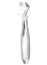 FELSCH (Fig. 210) upper third molars 